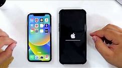 How to Transfer Data from Old iPhone to New iPhone?