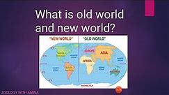 What is the difference between old world and new world?