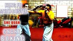 Kung Fu Myth Buster!! How to Apply Snake Boxing!!