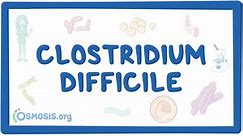 Clostridium difficile (Pseudomembranous colitis) | Osmosis
