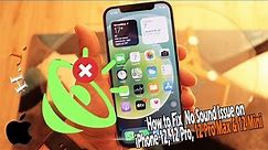 How to Fix No Sound Issue on iPhone 12, 12 Pro, 12 Pro Max & 12 Mini