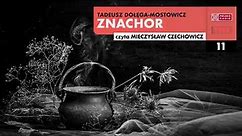 Znachor #11 | Tadeusz Dołęga-Mostowicz | Audiobook po polsku
