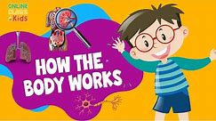 Human Body 101 for Kids | Human Body Systems for Kids | How the Body Works | Science for Kids