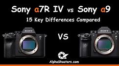 Sony A7R IV vs A9 - 15 Key Differences - AlphaShooters.com