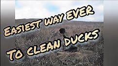 Cleaning Ducks The Easy Way : Fast and Easy Way to Breast Out Waterfowl