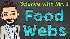 Food Webs | What are Food Webs?