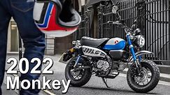 2022 Honda Monkey 125 Update | What's New?