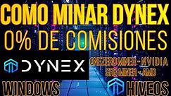 COMO MINAR DYNEX SIN COMISIONES - WINDOWS Y HIVEOS - NVIDIA Y AMD - DNX