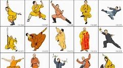 How many Kung fu styles are there / which one you like the best ?