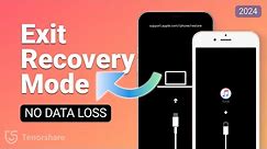 Fix iPhone Stuck in Recovery Mode/Won't Retore 2024 - [6 Ways] - ALL iOS Supported