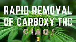 Fast Elimination of Carboxy THC prior to Drug Screening| Free Marijuana Drug Testing Book