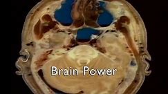 The Human Body | Biology Documentary Series | Episode 4 - Brain Power | DocFilm