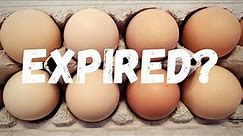 How Long Do Farm Fresh Eggs Last? | 2 Minute Quick Tip