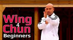 Wing Chun beginners lesson 5: basic hand exercise/changing guard hands with twist