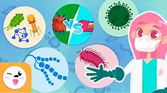 Microorganisms - Compilation Video - Bacteria, Viruses and Fungi - Explanation for Kids