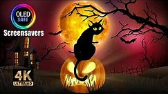 Halloween Screensaver - Black Cat - Haunted House - 10 Hours - 4K - OLED Safe