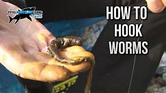 How to Hook a Worm for Sea Fishing | TAFishing