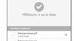 MEGA Desktop App