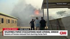 Wildfires force evacuations near Athens, Greece