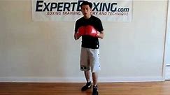 Boxing Stances and Style Explained