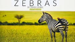 Zebras by Derek Zobel | Read Aloud | YouTube Books for Kids
