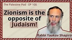 Ep. 100 - How Zionism stole Jewish Identity with Rabbi Yaakov Shapiro