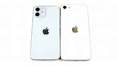 iPhone 12 Mini Size vs iPhone SE 2020