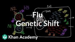 Genetic shift in flu | Infectious diseases | Health & Medicine | Khan Academy