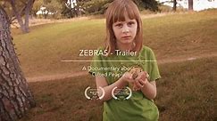 Zebras: A documentary about gifted people