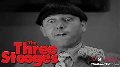 THE THREE STOOGES: Disorder in the Court (1936) (HD 1080p) | Moe Howard, Larry Fine, Curly Howard