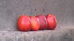 Red Apples in Armenia