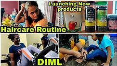 DIML | Full Day Vlog | Hair care Routine | New Products Launch at Raji's Kitchen | RK Family Vlogs