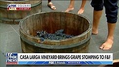 Grape-stomping tips and techniques to ring in National Red Wine Day