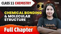 Chemical Bonding & Molecular Structure Full Chapter | Chemical Bonding in One Shot | CBSE/JEE 2024