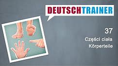 Niemiecki dla początkujących (A1/A2) | Deutschtrainer: Części ciała