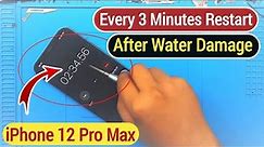 iPhone 12 Pro Max Restarts Every 3 Minutes Full Solution (After Water Damage)