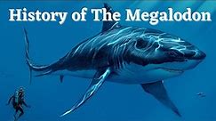 History of the Megalodon - Documentary
