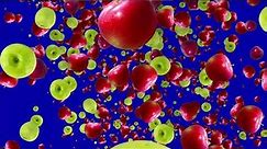 Falling Red & Green Apples Fruits Blue Screen Video Background