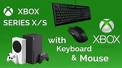 How to use Keyboard and Mouse on Xbox Series X/S