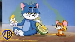 Tom i Jerry w Singapurze Całe odcinki | Cartoon Network Azja | @WBKidsInternational​