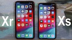 iPhone Xr vs iPhone Xs - Full Comparison