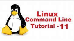 Linux Command Line Tutorial For Beginners 11 - touch command
