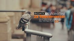 Sony FE 2x Teleconverter 4K Video Test (Up to 600mm) (Shot it on A7RIII M3)