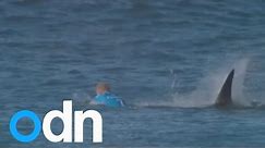 Surfer fights off shark attack on live TV
