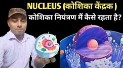 Nucleus | nucleoplasm | chromatin| DNA | RNA| ANAND SIR PATNA