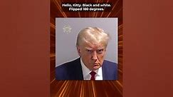 August Meme Of The Month Winner: Trump Mug Shot