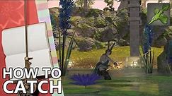 How to Catch Phyllinos in FFXIV (for Pure Aqueous Glioaether!)