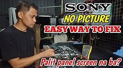NO PICTURE | EASY TO FIX | SONY 65"