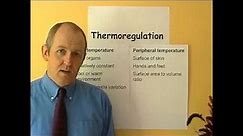 Thermoregulation 5, Body temperature