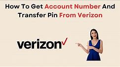 How To Get Account Number And Transfer Pin From Verizon